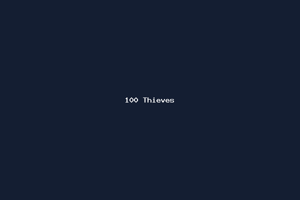 100 Thieves