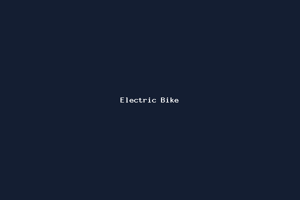 Electric Bike