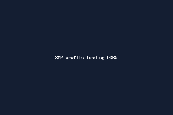 XMP profile loading DDR5