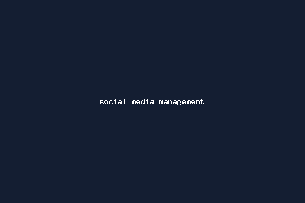 social media management